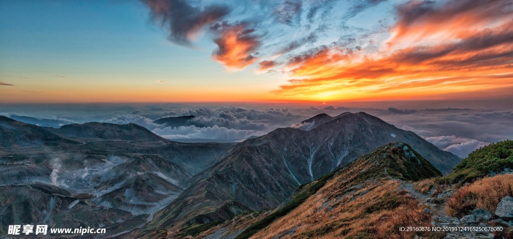 风景