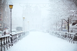 雪景背景