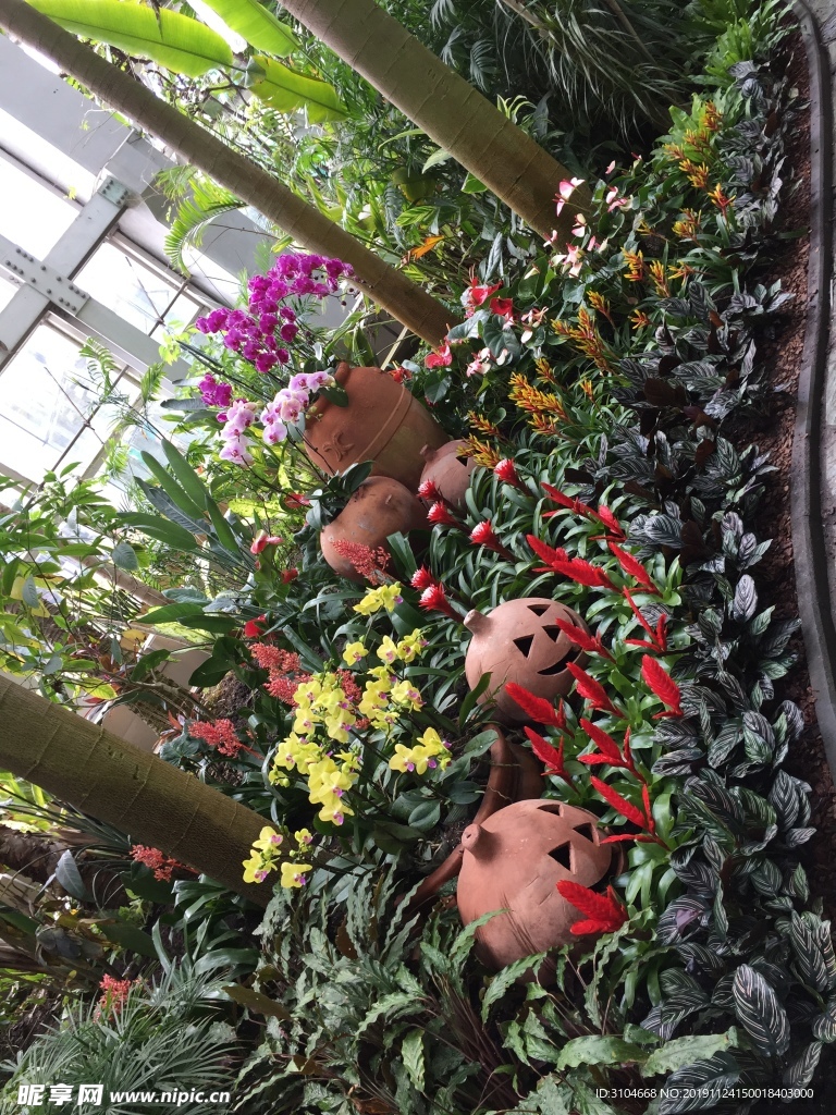 室内小花园