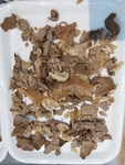 牛杂