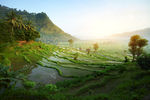 山水风光