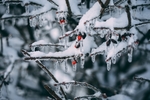 冬季大雪唯美高清风景图片