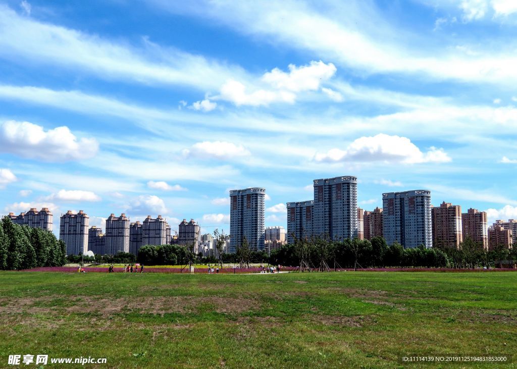 哈尔滨松花江畔湿地风景