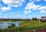 哈尔滨松花江畔湿地风景