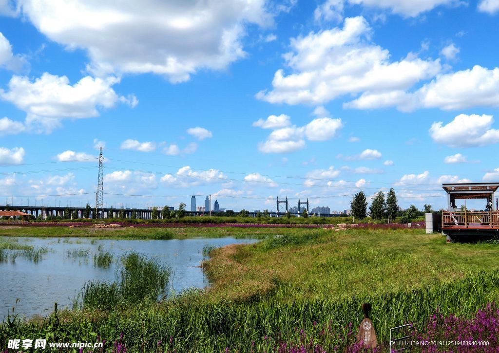 哈尔滨松花江畔湿地风景