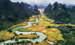 山
