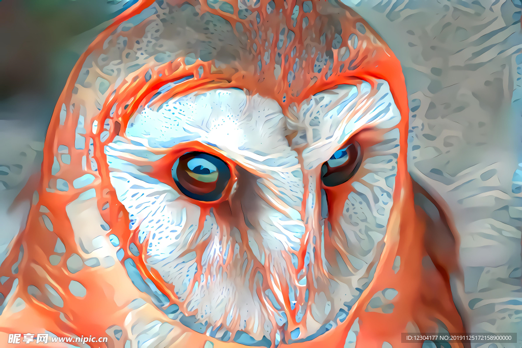 鸟画