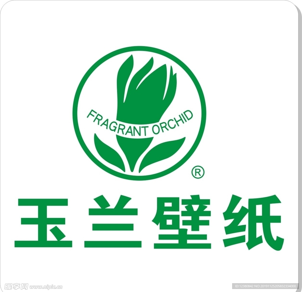玉兰壁纸