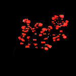 花瓣