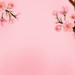 粉色花卉