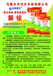 聚谷氨酸