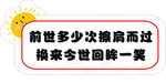 相亲手举牌