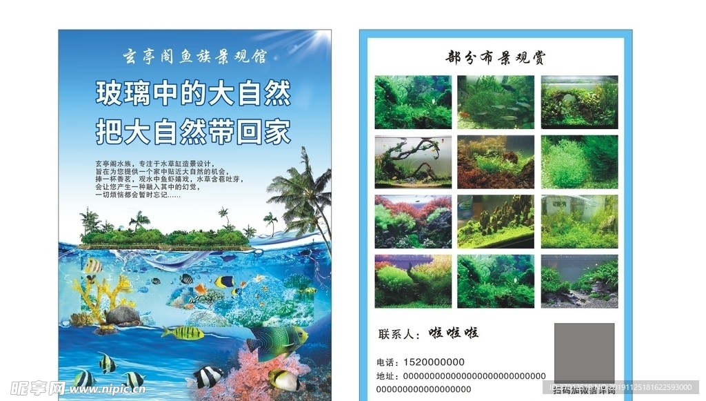 水族传单
