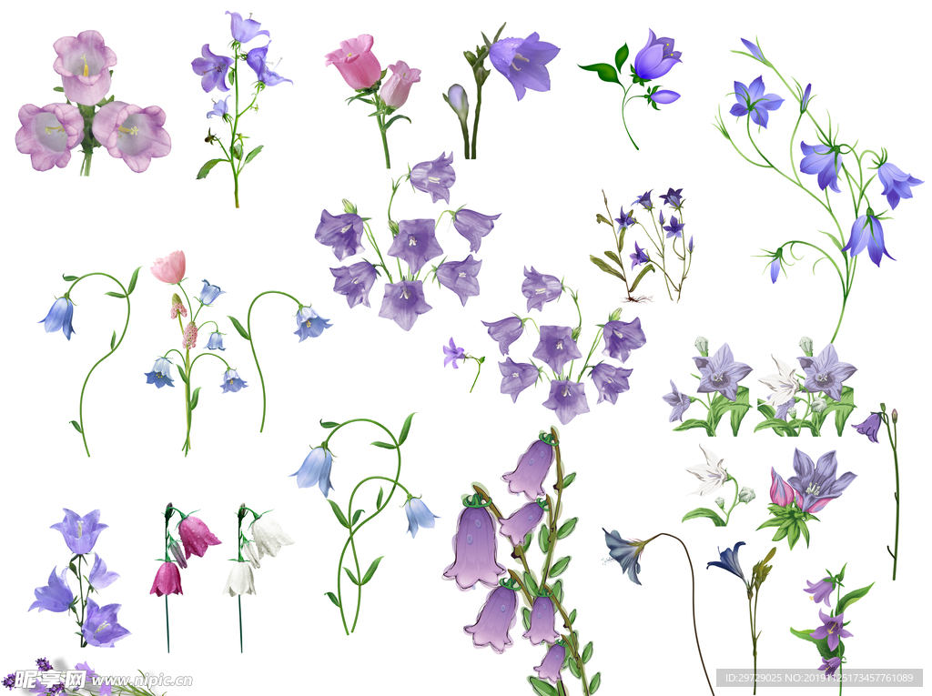 玲花