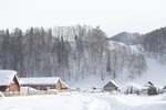 冬天雪景