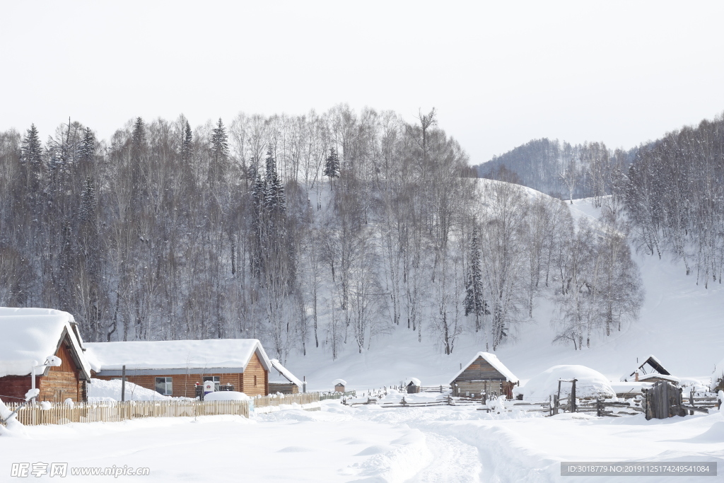 冬天雪景