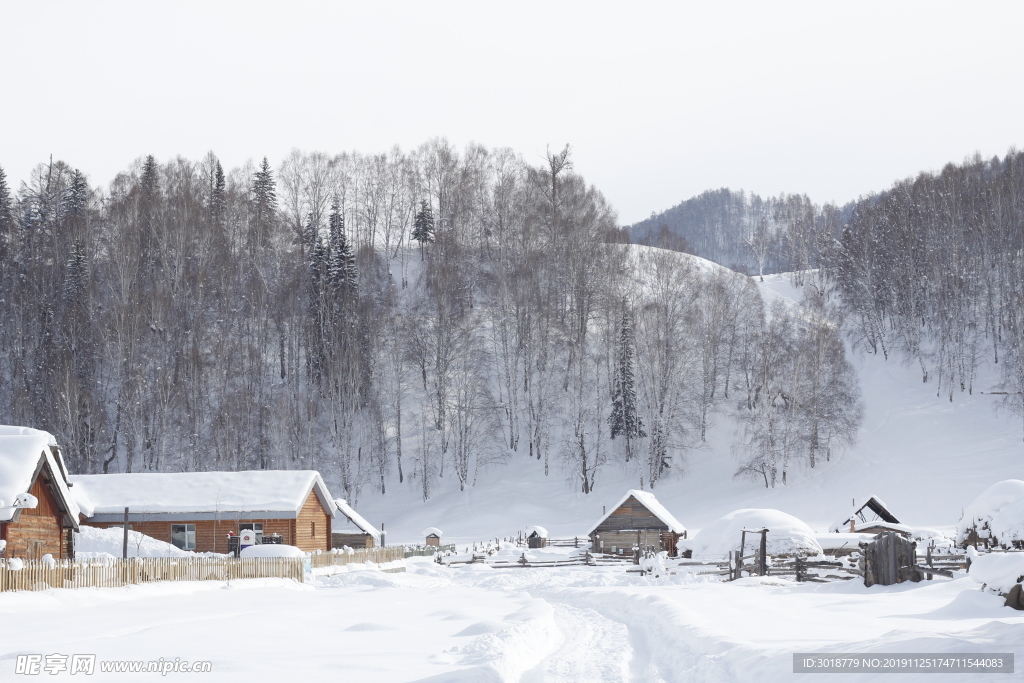 冬天雪景