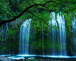 高山流水