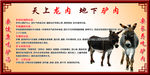 驴肉的功效