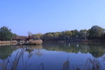 风景