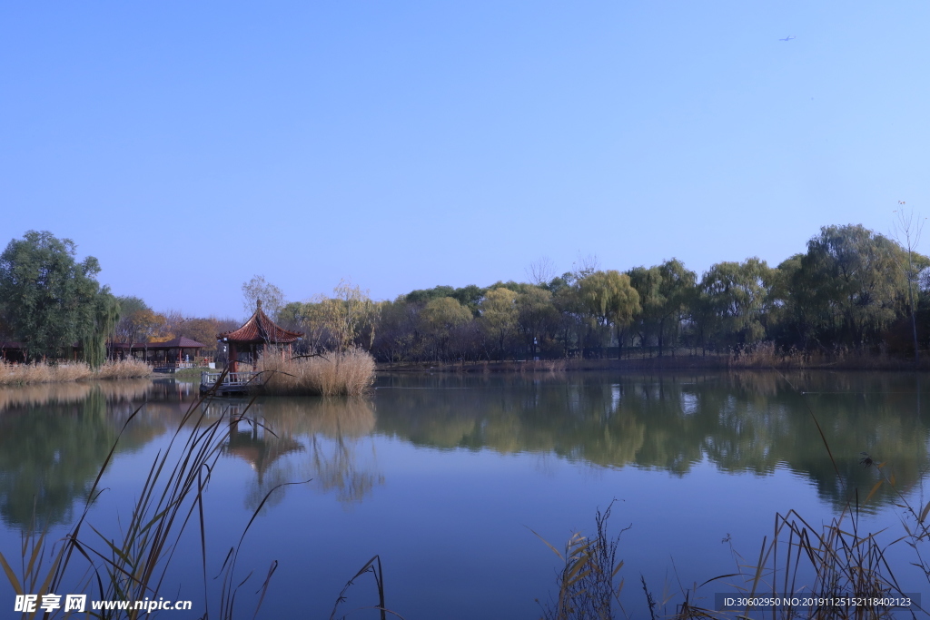 风景
