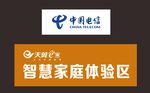 天翼  电信