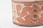 千年古树野生樟香龙柱