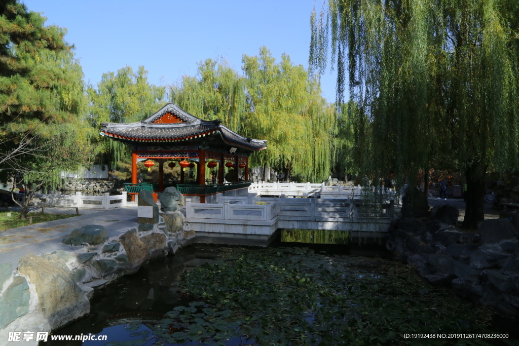 大观园风景