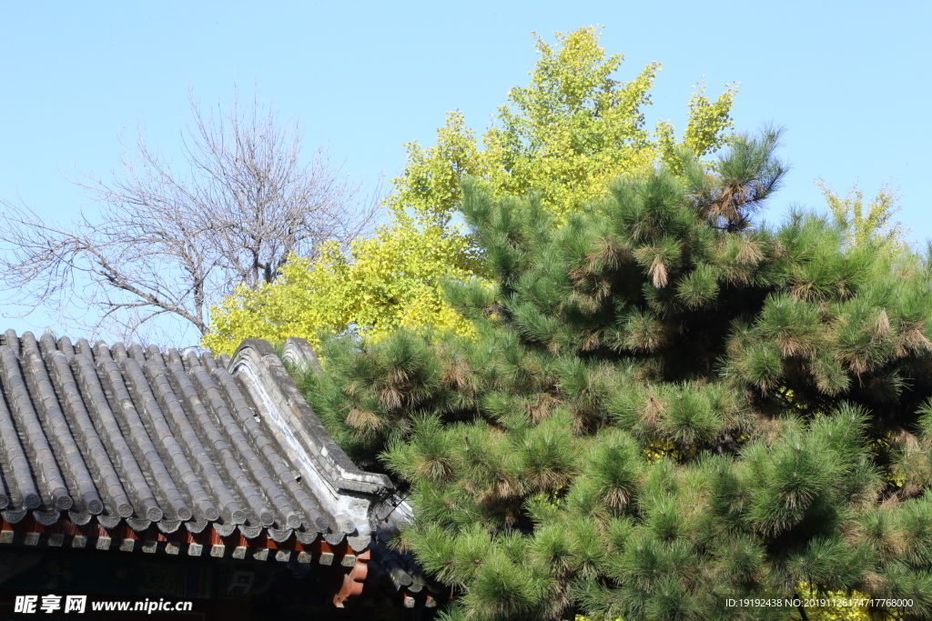 大观园风景