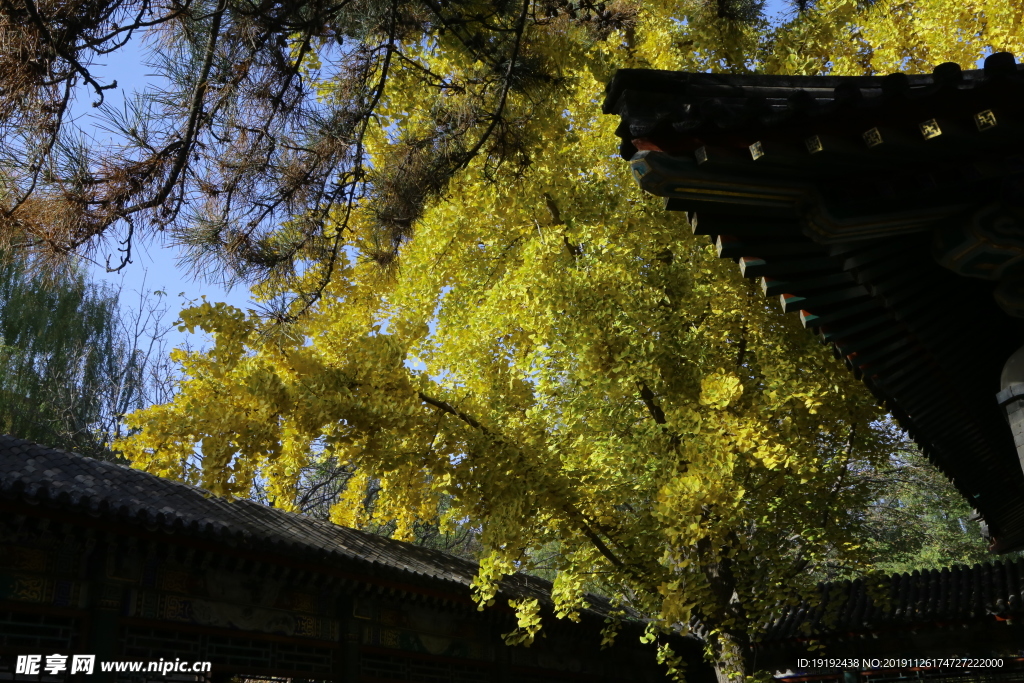 大观园风景