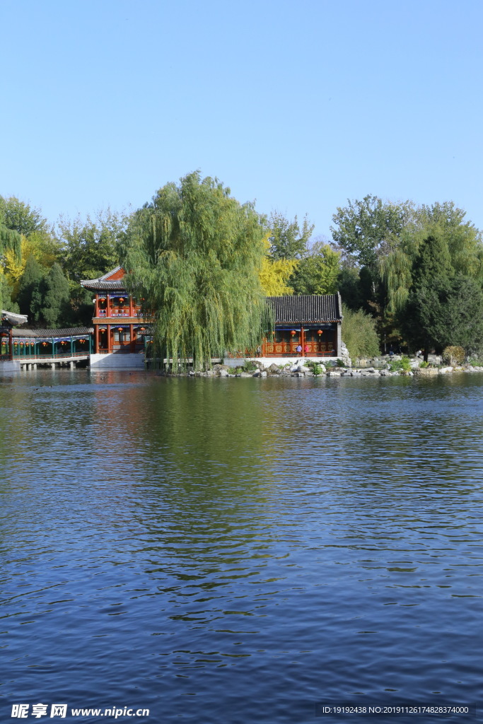 大观园风景
