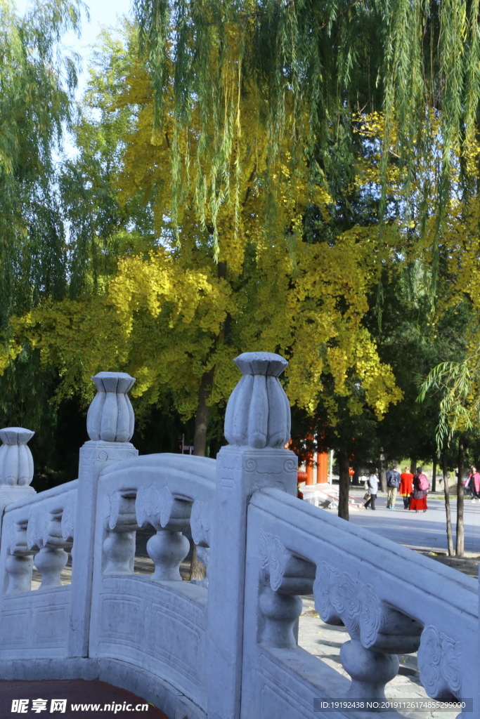 大观园风景