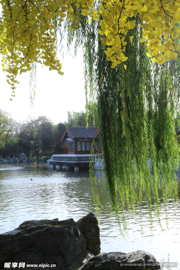大观园风景