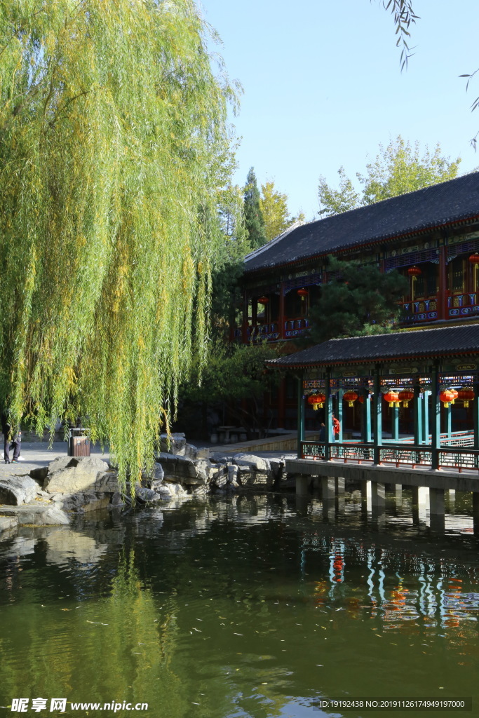 大观园风景