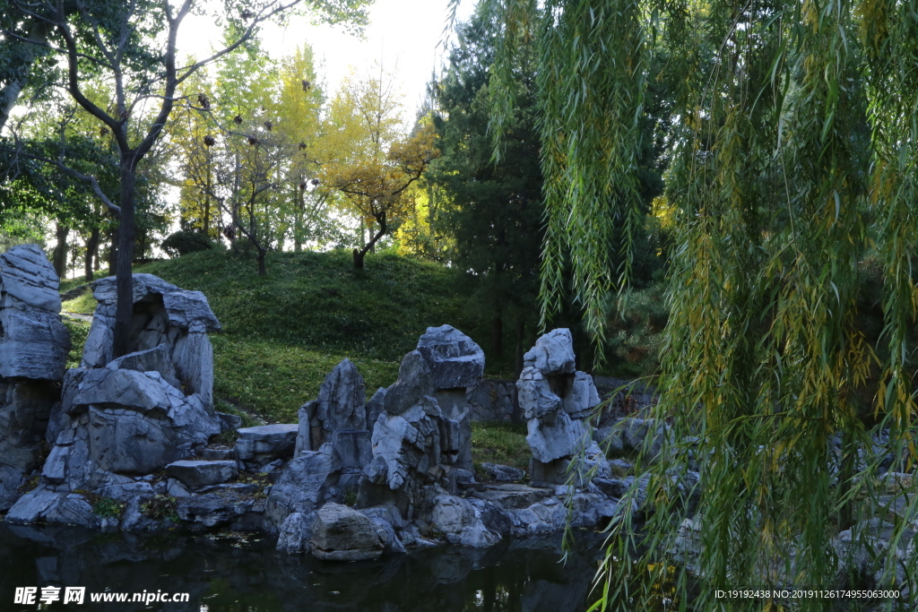 大观园风景