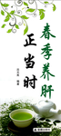 养肝