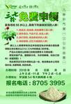 三七宣传单