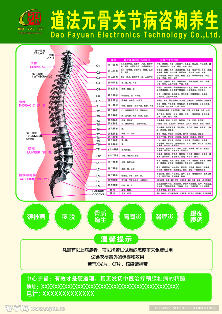 骨关节