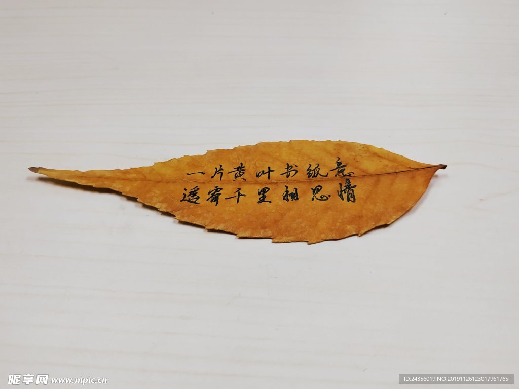 叶子