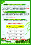 银行端午宣传单页