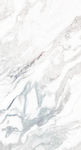 底图