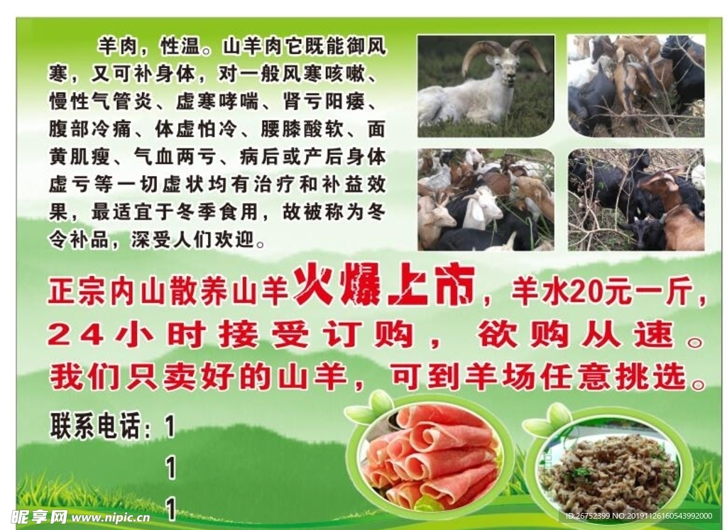 山羊海报