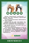 股骨头坏死