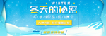 电商淘宝冬天的秘密冬季海报