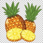 菠萝插画