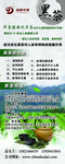 黑茶文化