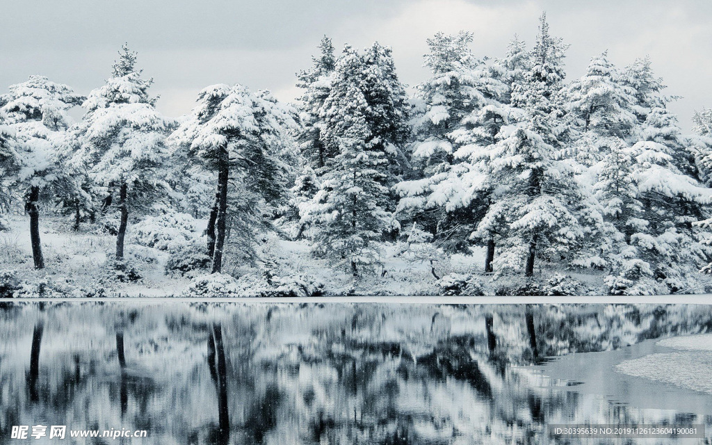 雪景背景