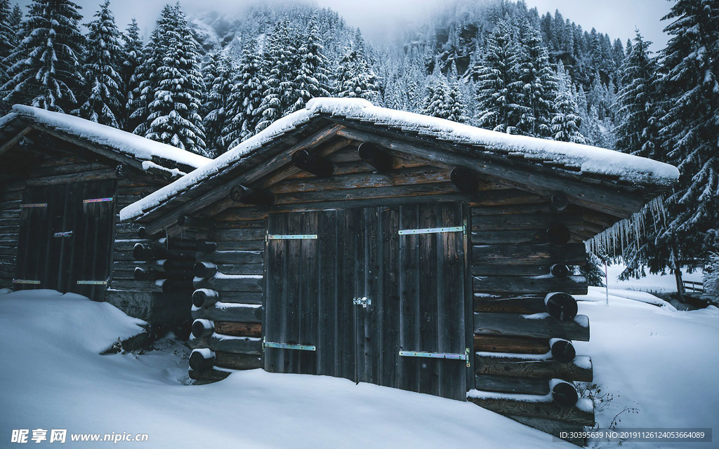 雪景