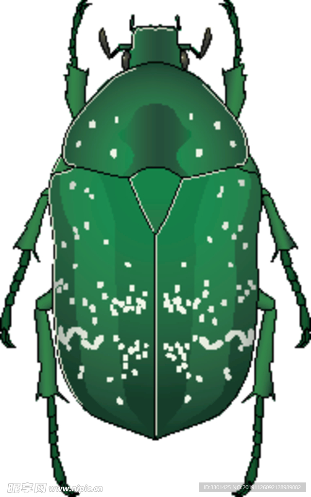 绿色斑点甲虫