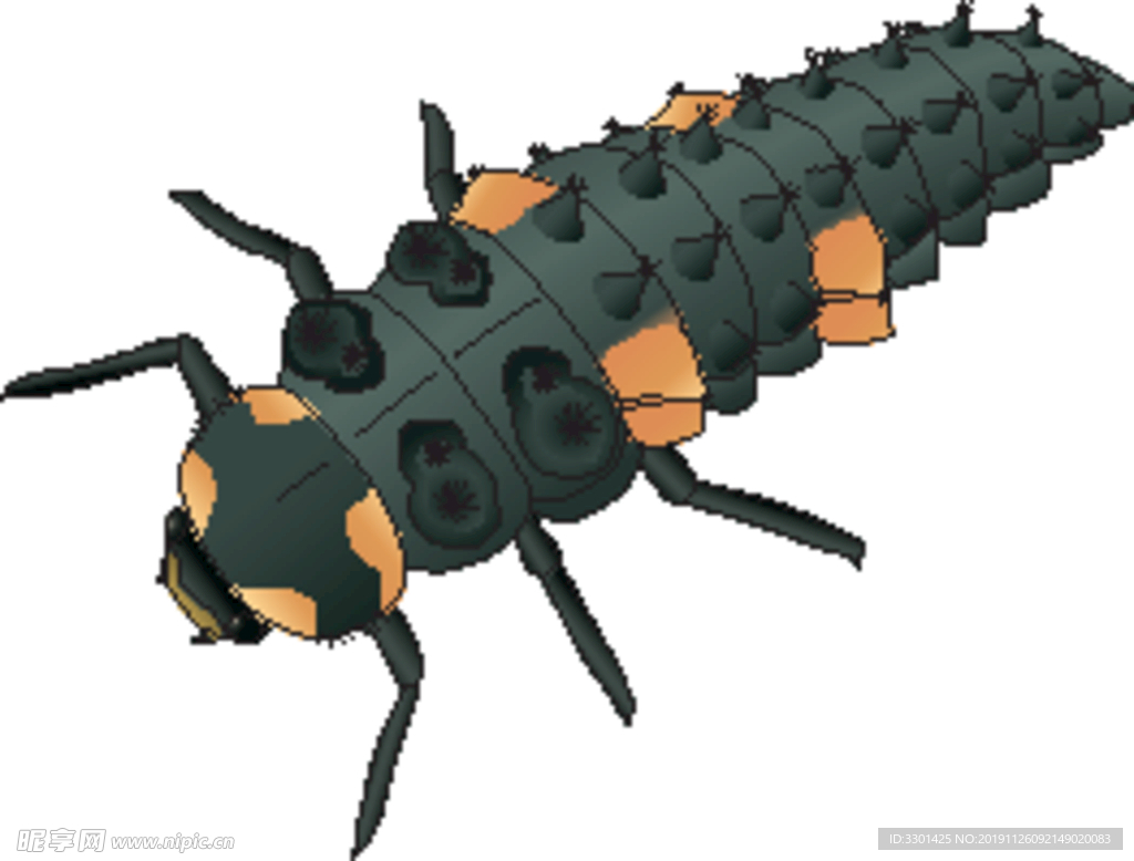 甲虫幼虫